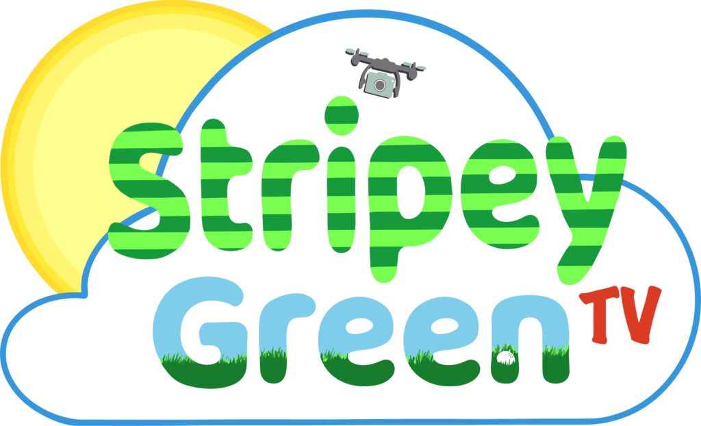 Stripey Green TV Services