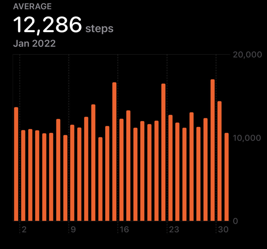 Steps per day January 2022
