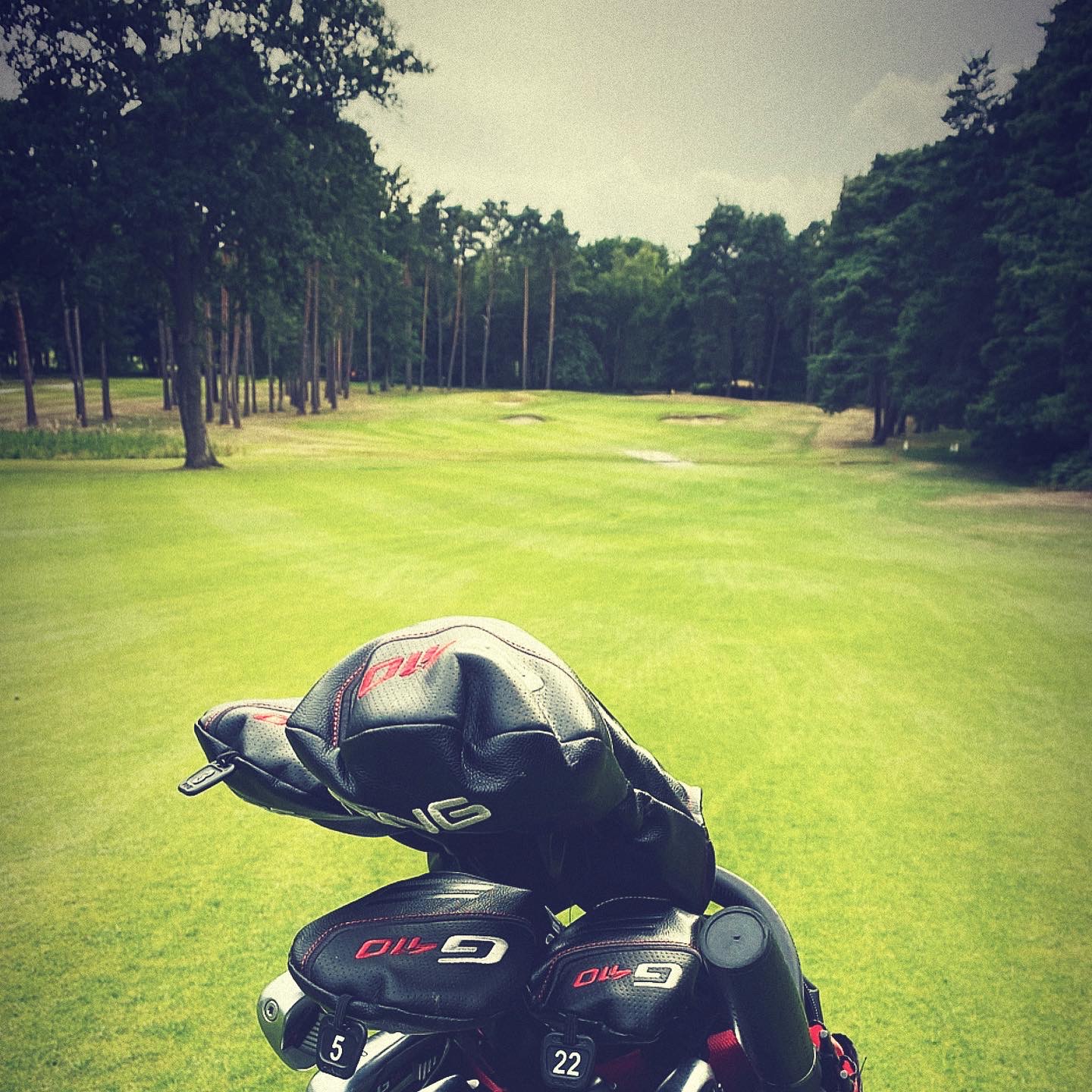 Approach to the 14th hole at Longcross Golf Course. Tree and pond to the left.