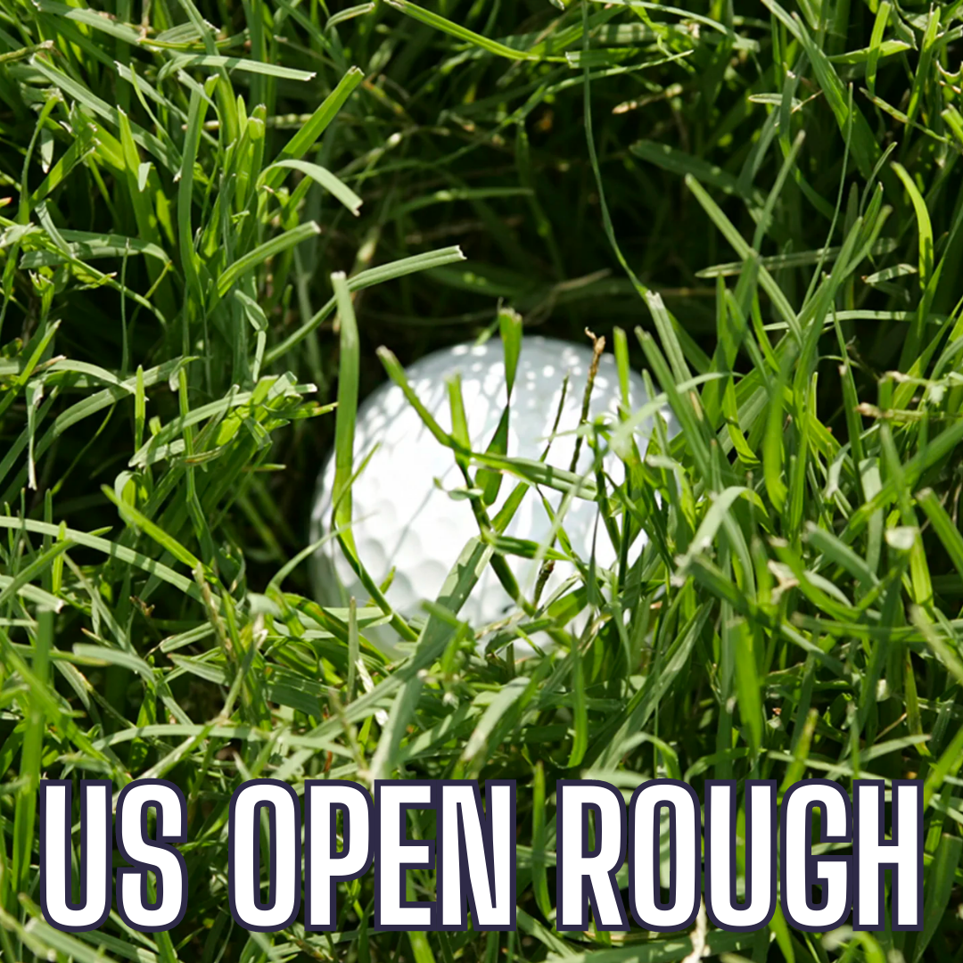 Typical Example of US Open Rough