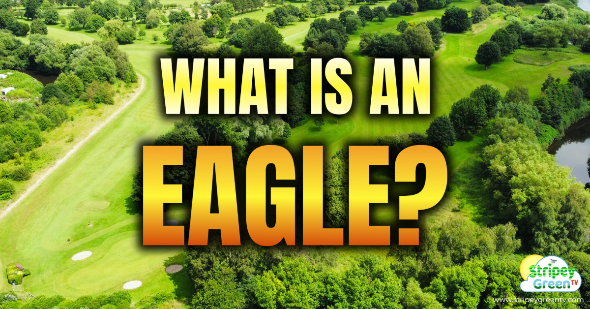 What is an Eagle? Scoring Terms Explained